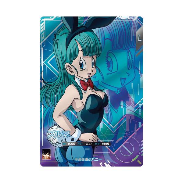 bbutton2000_sdv054010