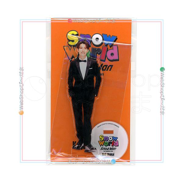 ☆Snow Man 1st Stadium Live Snow World 個人アクリルスタンド 向井
