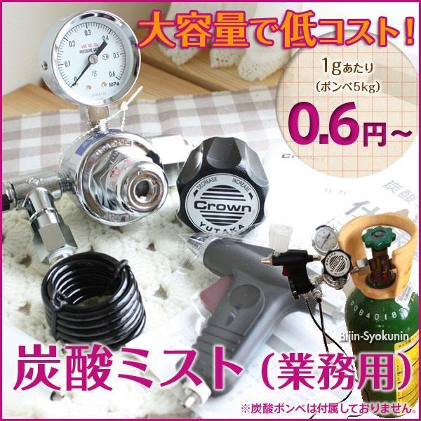 セラミド 炭酸ミスト 業務用 あすつく 送料無料 酸ミストシャワーを