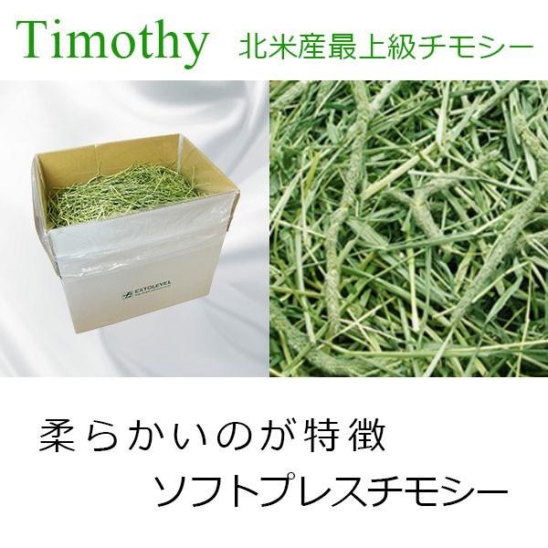 EXTOLEVEL（エクストレベル） 令和7年産 新刈り 真っ青な色見の