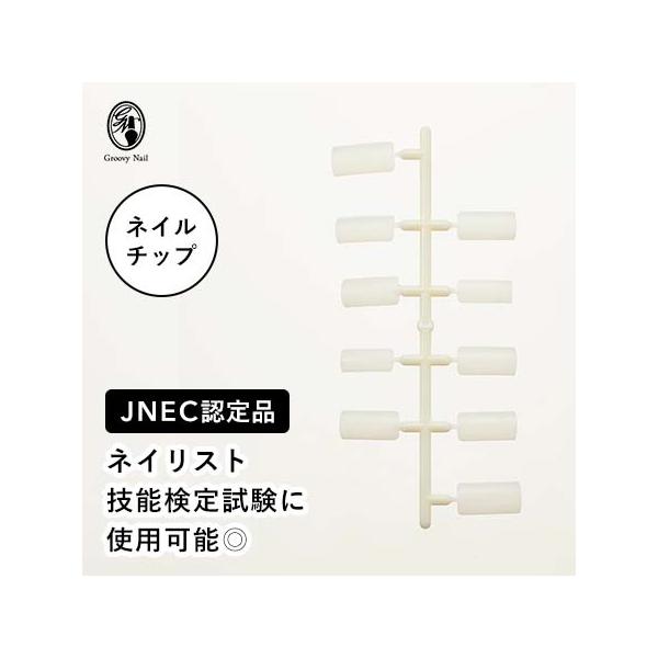 ネイリスト技能検定試験用 JNEC認定モデルハンド/チップセット/検定用