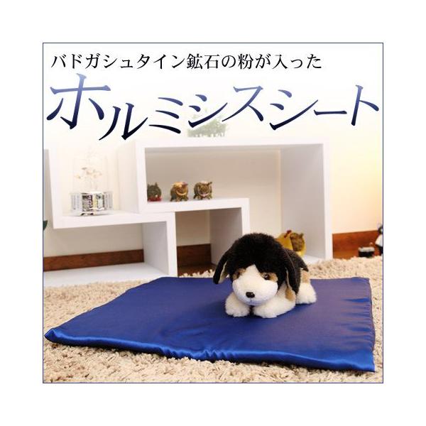 ホルミシスシート（バドガシュタイン鉱石シート）ホルミシス効果 健康