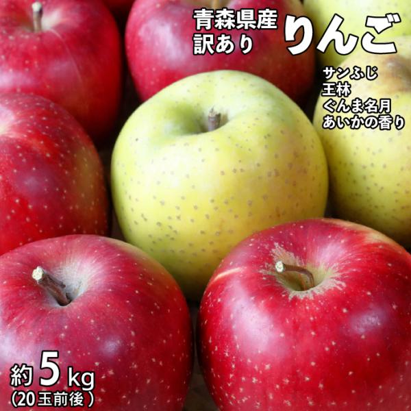 令和7年 青森県産 訳あり りんご 5kg 20玉前後 サンふじ 王林 ぐんま名