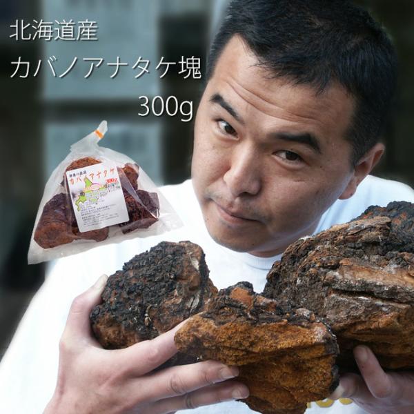 カバノアナタケ茶 塊 ≪原体≫ 300g 北海道産チャーガ茶100% ≪かばの
