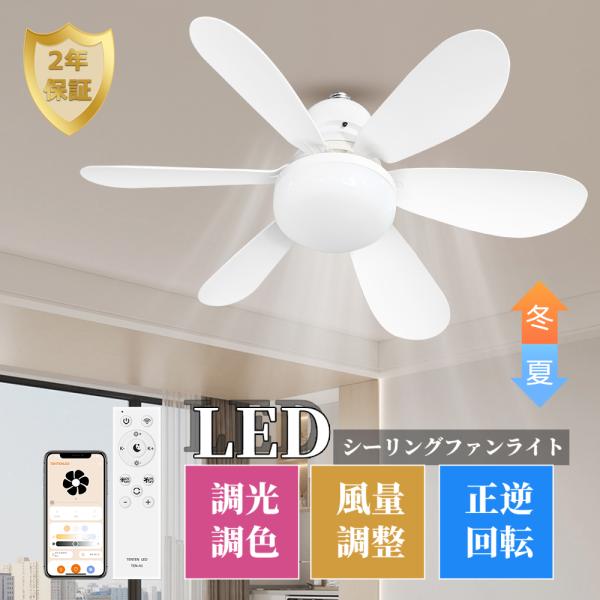 hikariled_lyl-tensmarta1-3