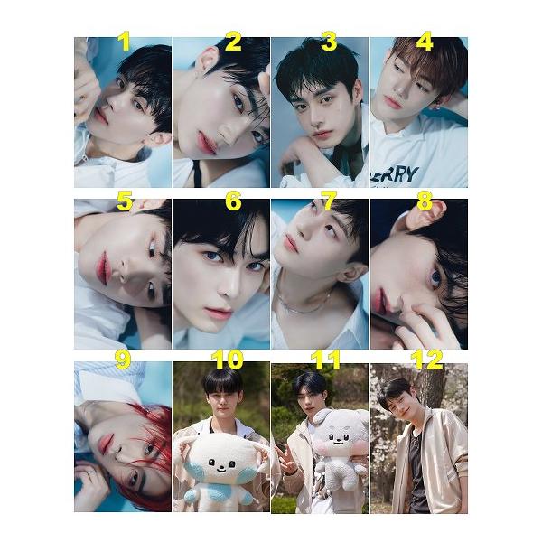 TOO TO1 ドンゴン サインボール トレカ グッズ 【公式通販】