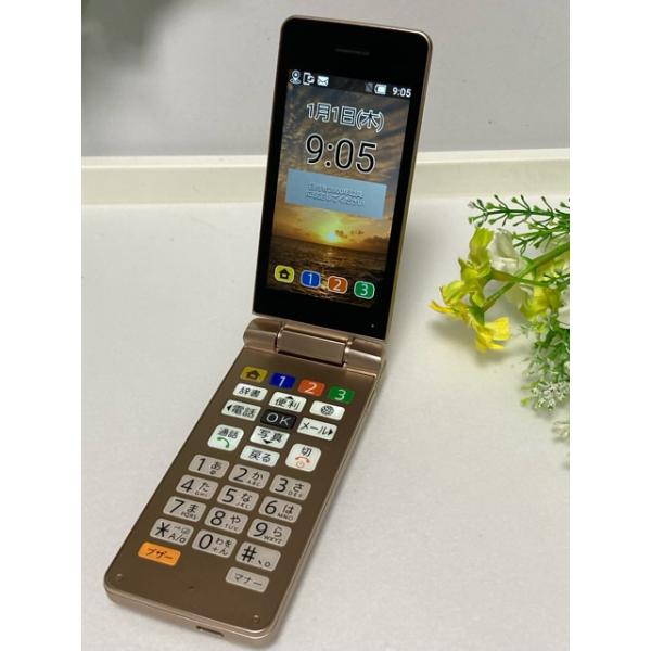 SHARP（シャープ） Softbank かんたん携帯10 NP807SH ゴールド 携帯