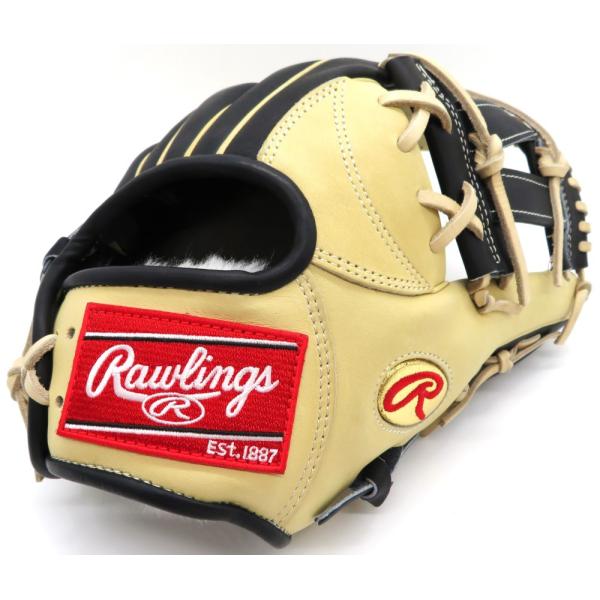Rawlings（ローリングス） 軟式グラブ RGGC 限定 Rawlings 2024