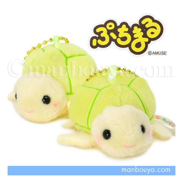 水族館 カメ ぬいぐるみ ウミガメ アミューズ AMUFUN ぷちまる