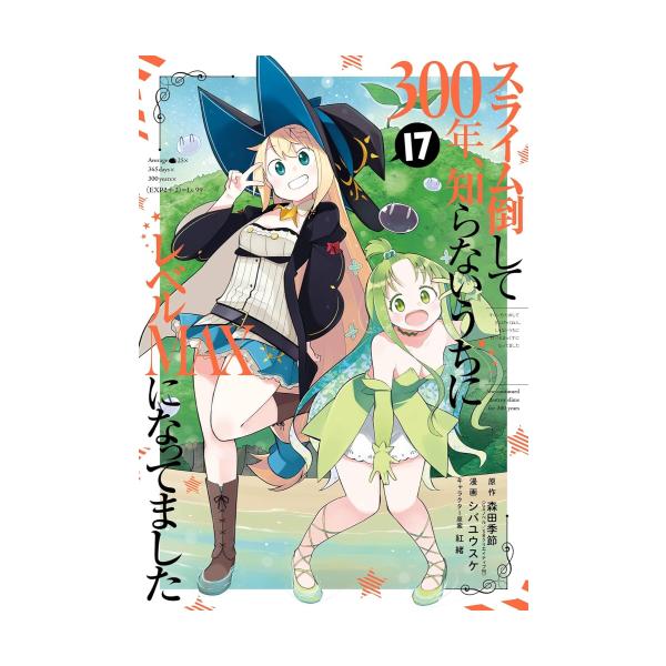 新品 / スライム倒して300年、知らないうちにレベルMAXになってました