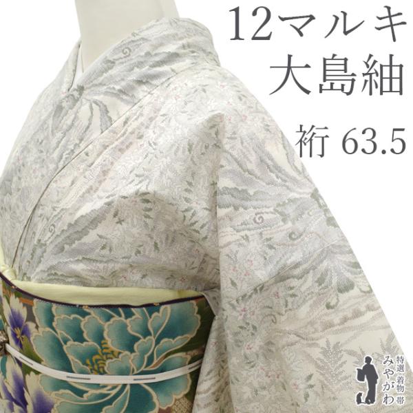 本場大島紬 着物 未使用 正絹 白大島 白泥染 大島紬 12マルキ 草花