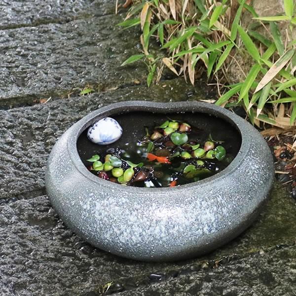 信楽焼 睡蓮鉢 メダカ鉢 おしゃれ めだか鉢 陶器 水鉢 ビオトープ