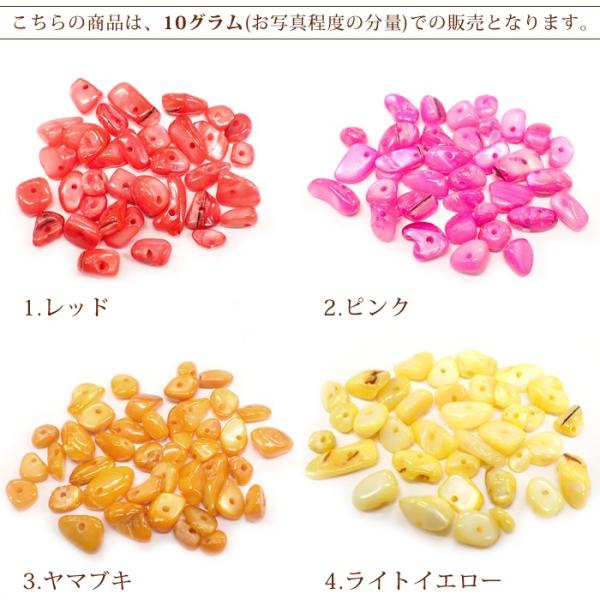 カラフル シェル さざれ石 穴あり 10g 天然石 貝 マリン パーツ