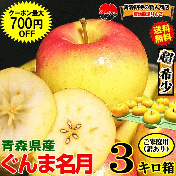 即日発送 青森 りんご 3kg箱 ぐんま名月 送料無料 家庭用/訳あり