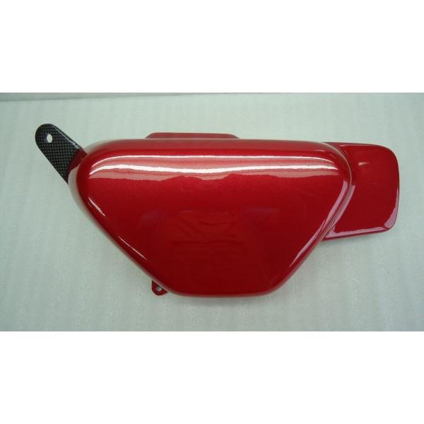 CAT'S FACTORY キャッツファクトリー 右サイドフレームカバー カラー