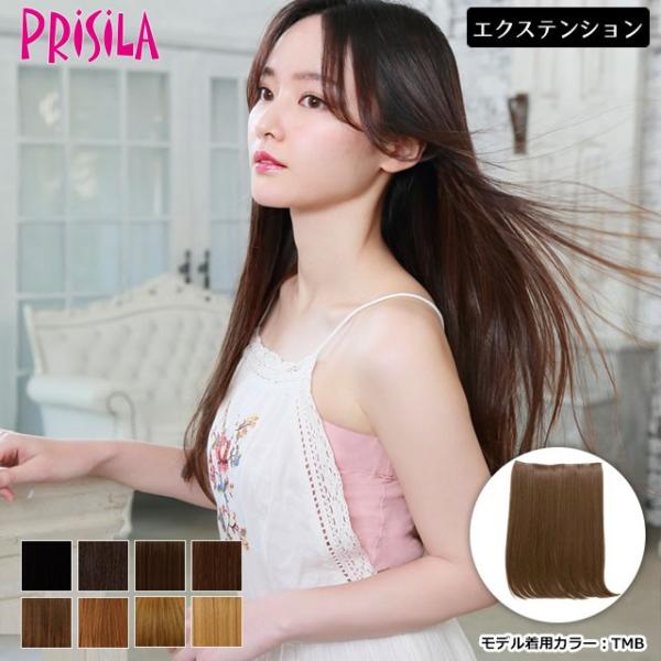 ウィッグ エクステンション クリップで付けられる簡単エクステ TX-25