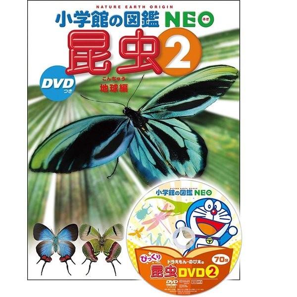 小学館の図鑑NEO 昆虫2:地球編 DVD付き : 六本木 蔦屋書店 ヤフー店