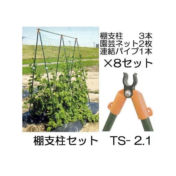 8セット特価) つるもの用 棚支柱セット TS-2.1 (2.1m) ×8パック 第一