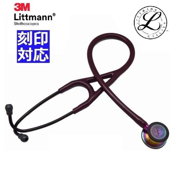 3M [刻印対応・国内正規品]レインボーエディション プラム 3M6205