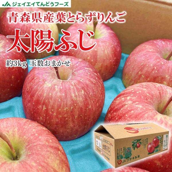 tendofoods_yukishita2