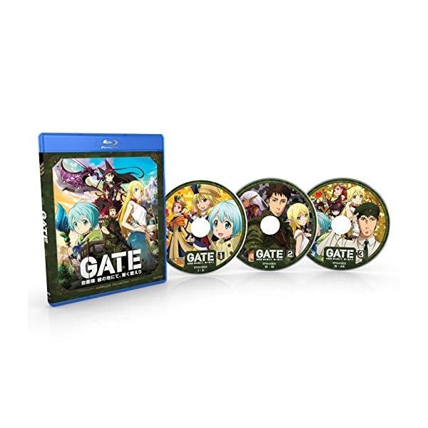 GATE ゲート 自衛隊 彼の地にて、斯く戦えり 全24話BOXセット 新盤