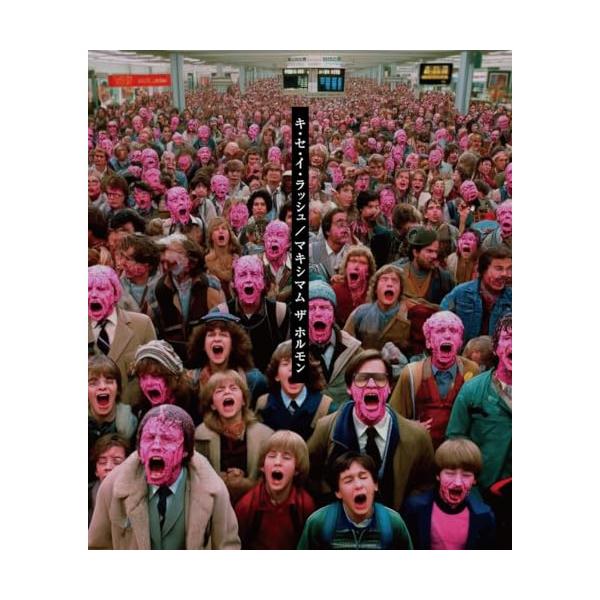 vanda_sme-wpcl-13563