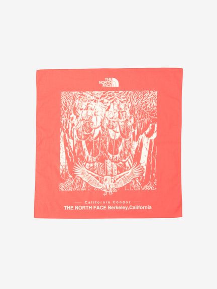 バンダナ／ハンカチ｜Goldwin Online Store