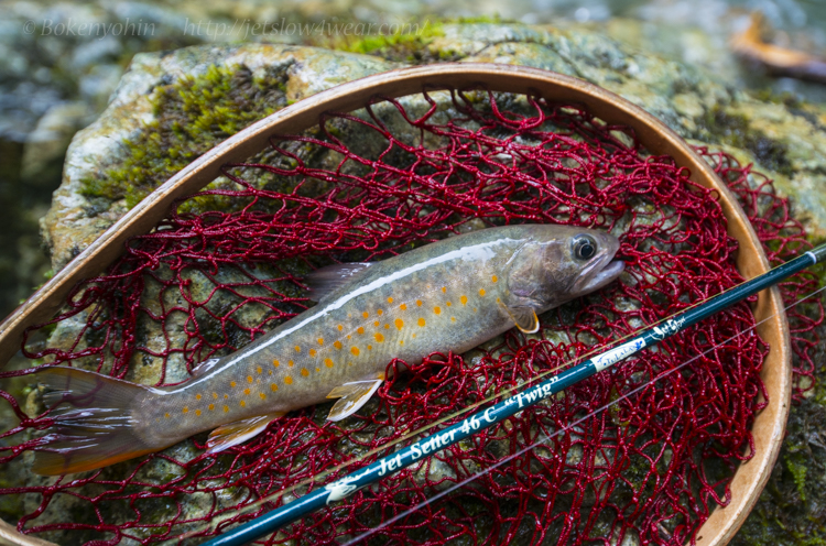 Jet Setter 46C [Twig]「冒険用品」