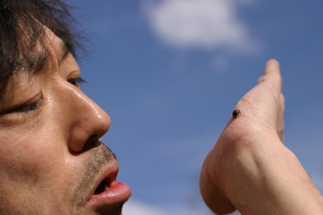 JFDB - ヤーチャイカ