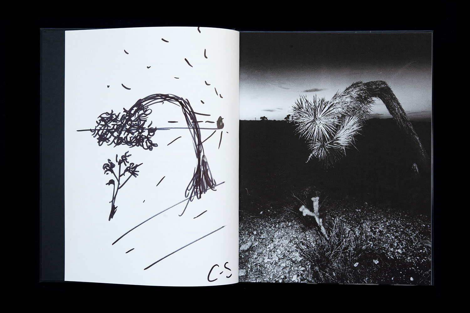 Chris Shaw - Horizon Icons