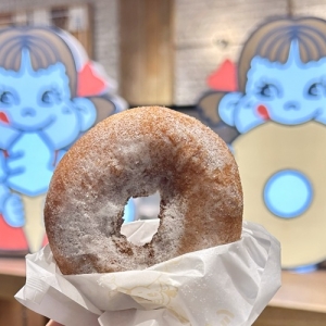 fujiya-donuts001-300x300.jpg