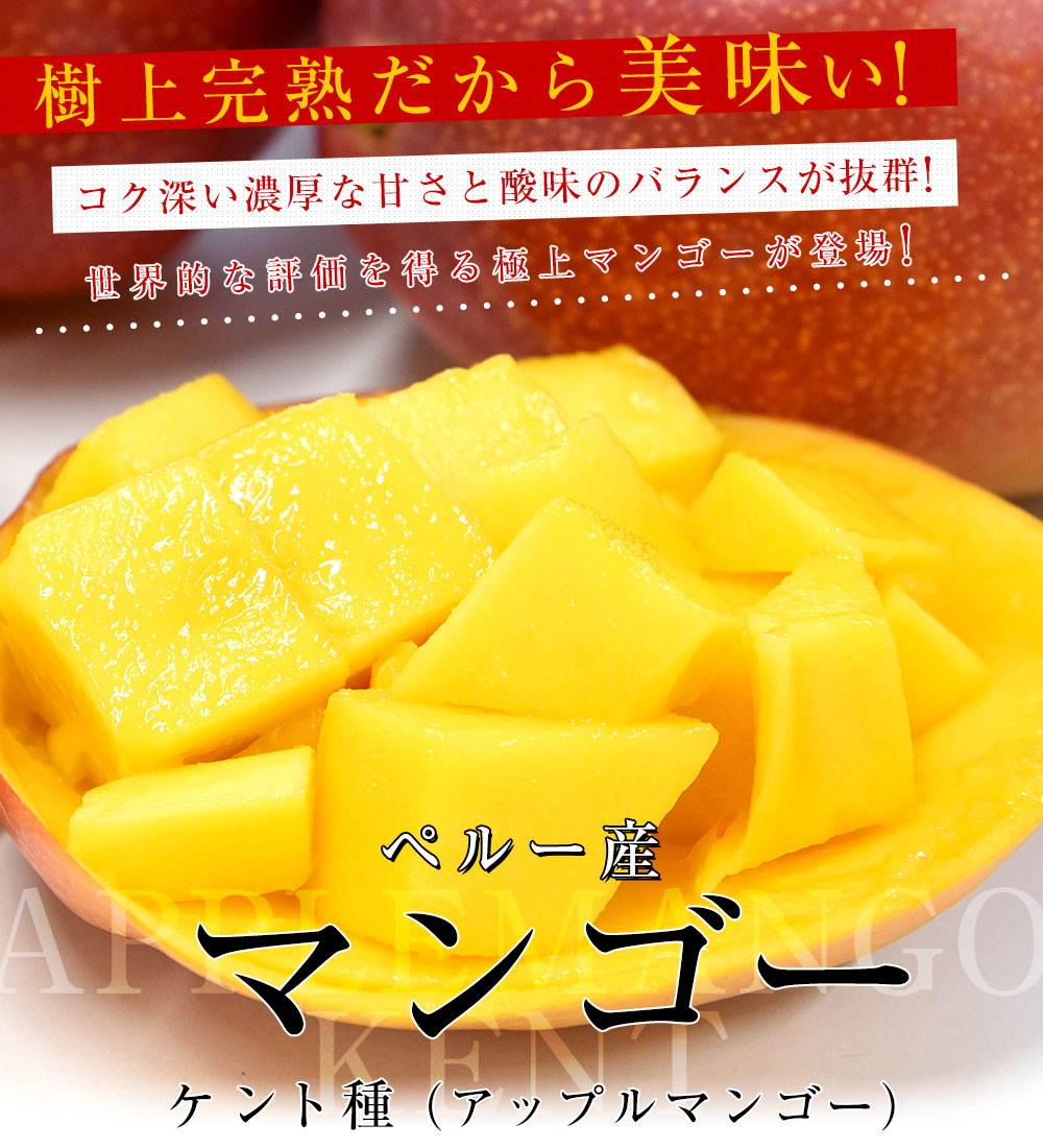 ペルー産アップルマンゴー ケント種 約6キロ 原体箱（12玉から14玉入
