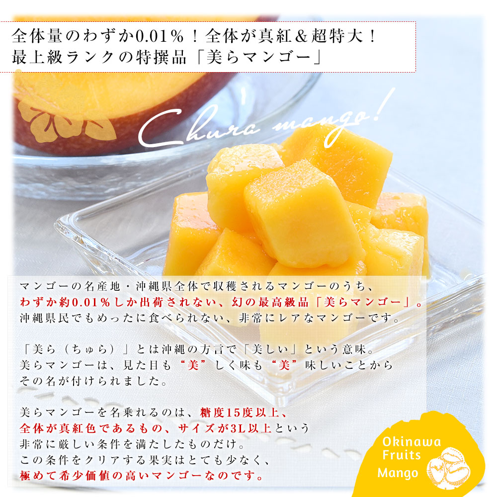 沖縄県より産地直送 JAおきなわ 美らマンゴー 最上級特A品 超大玉4L