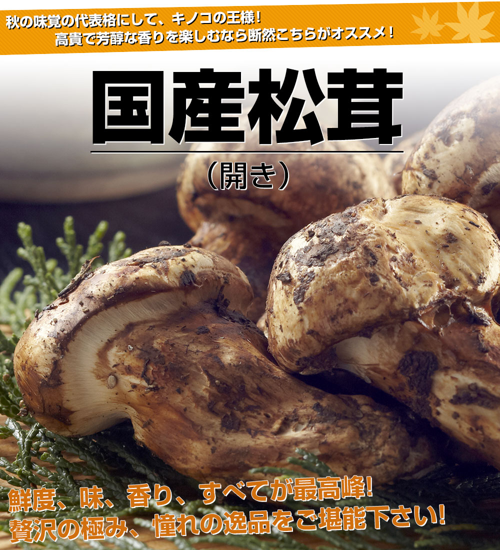 松茸 北海道 400g ① 国産 北海道 松茸 400g ④ 【公式通販】