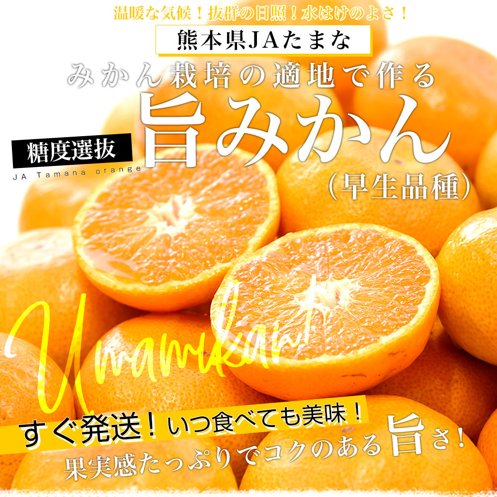 d_orange627_ph.jpg