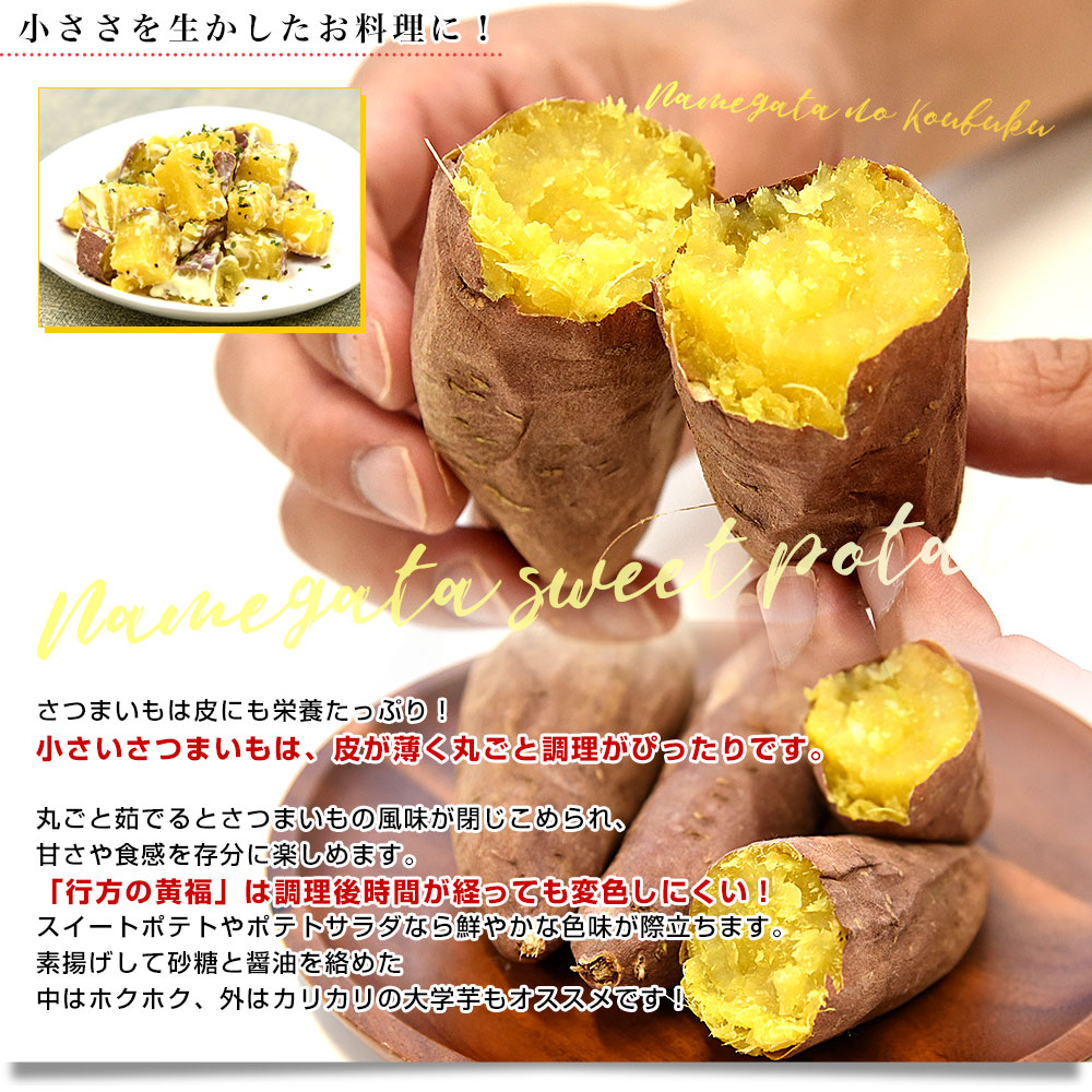 茨城県より産地直送 JAなめがたしおさい さつまいも 行方の黄福（なめ