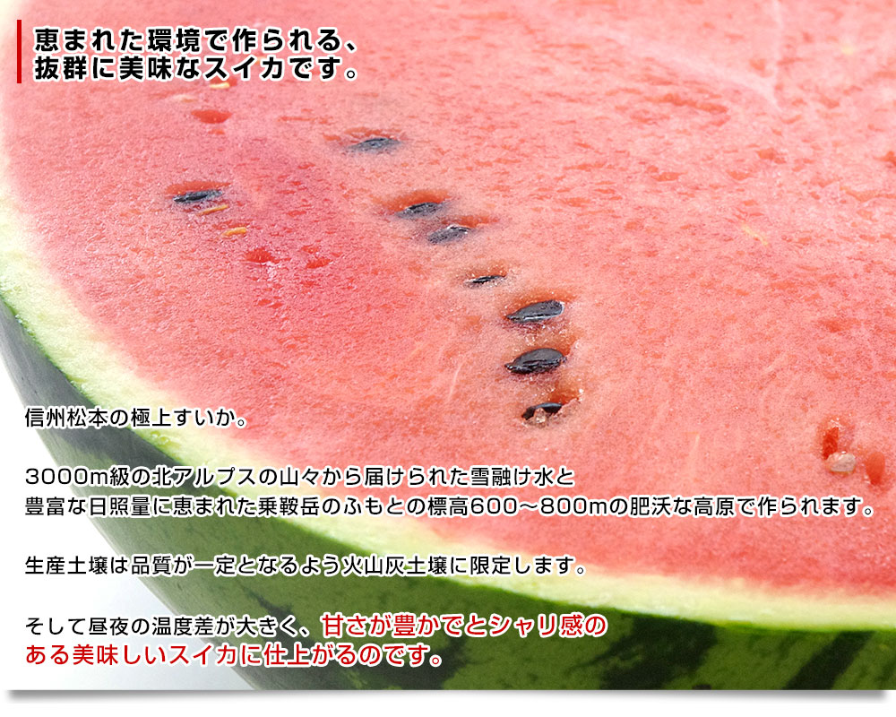 長野県産 JA松本ハイランド 大玉スイカ 秀品 4Lから5Lサイズ 9キロ以上