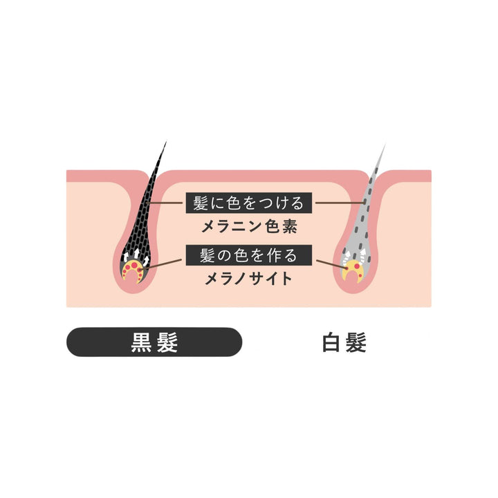 gray-reason1_720x.jpg?v=1755524217