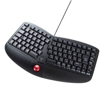 SKB-ERG5BK エルゴノミクスキーボード 1個 サンワサプライ 【通販