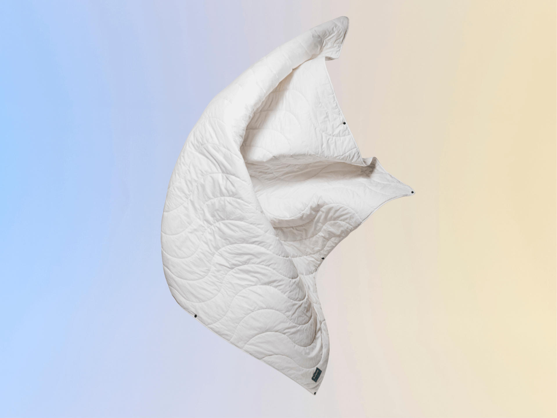 コアラ掛け布団 [2nd GEN] オールシーズン使用可能な暖かい掛け布団