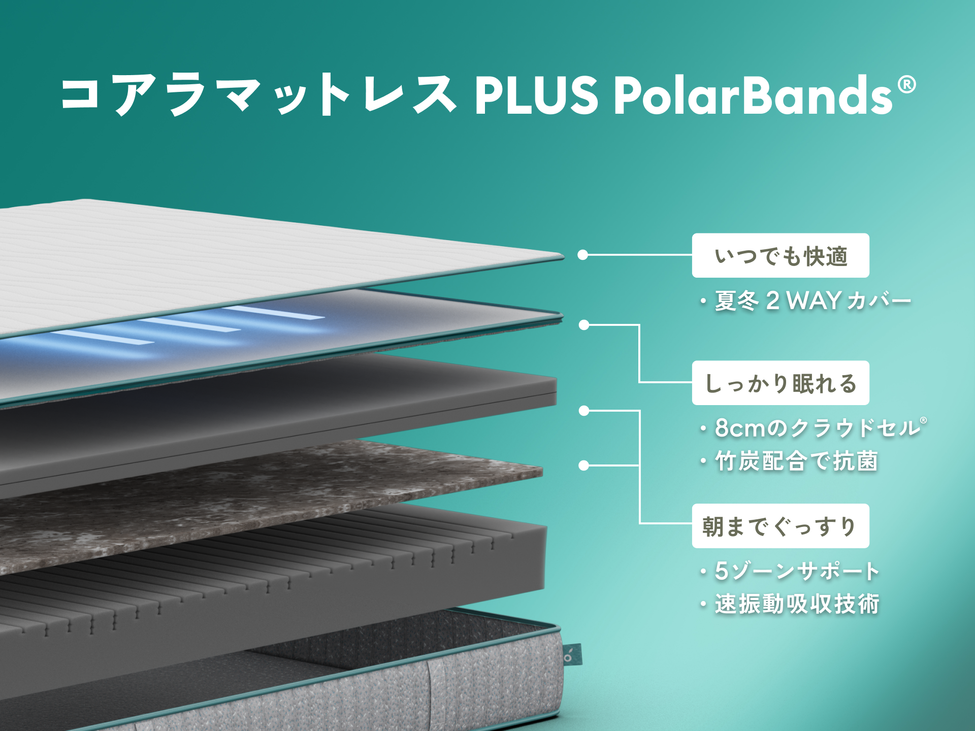コアラマットレス PLUS PolarBands®｜夏は冷たく冬は暖かい一年中極上
