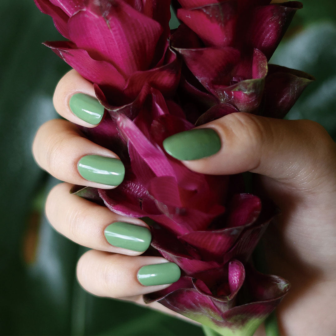グリーン green flash | manucurist – マニキュリスト公式オンライン