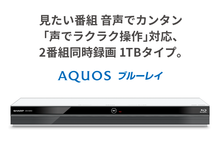 SHARP AQUOS ブルーレイディスクレコーダー 2B-C05EW123年式 SHARP