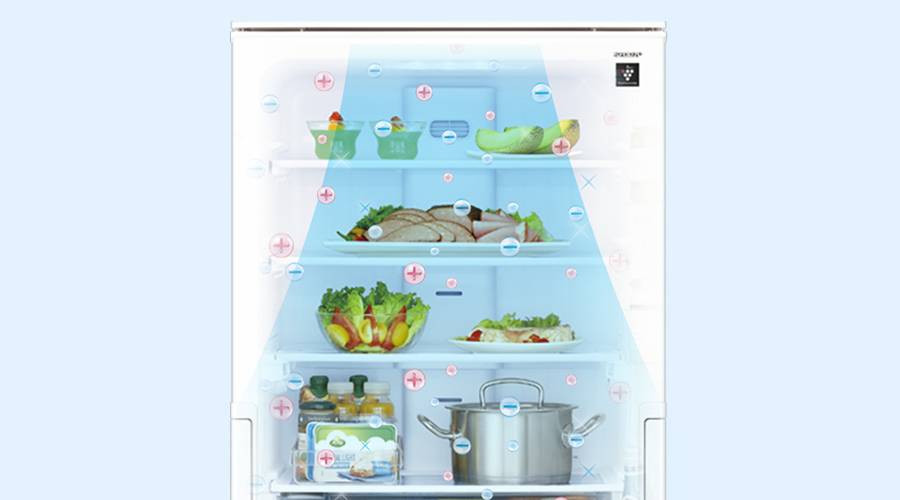 冷蔵室 | SJ-XW41P | 冷蔵庫：シャープ