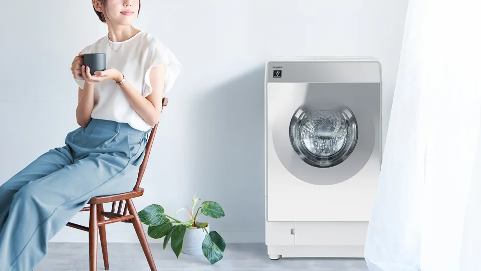 引き取り限定】シャープ ドラム式 洗濯乾燥機 11kg ES-G11C-SL ES-G11C