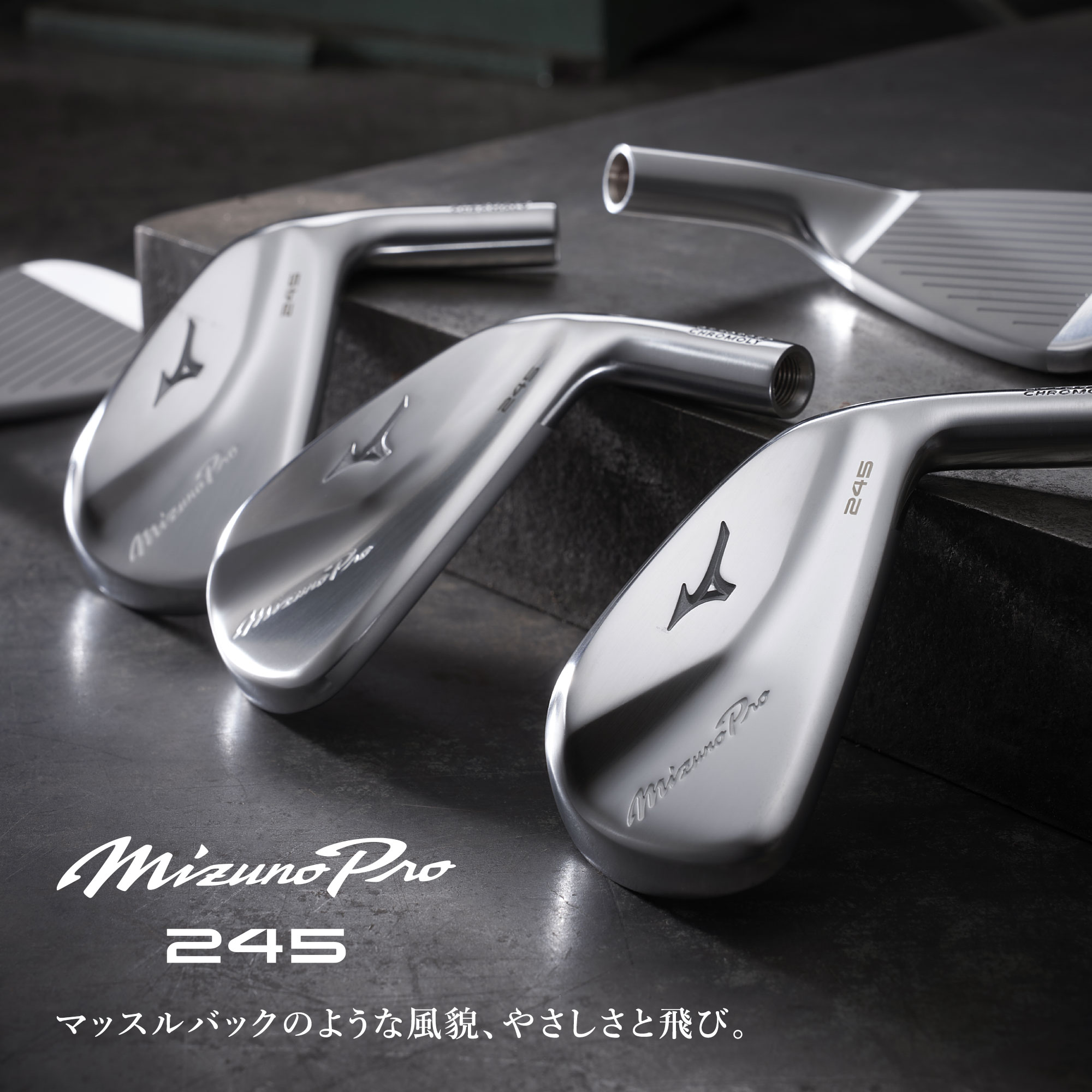 Mizuno Pro 245 アイアン 6本組(No.5～9、PW)(Dynamic Gold 95