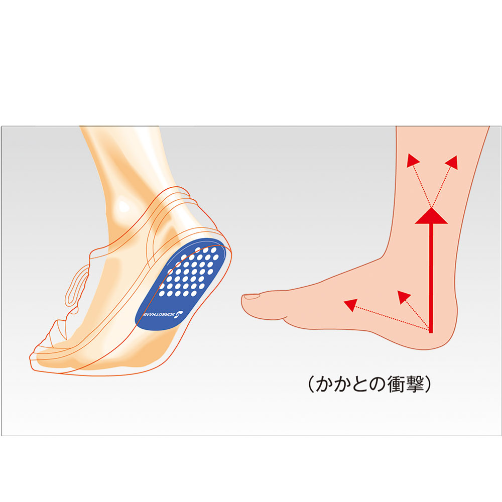 三進興産／ソルボヒール(スポーツ・カジュアル・ビジネス)|8ZA152