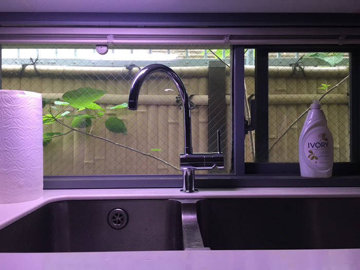 Hansgrohe（ハンスグローエ）タリス M54 シングルレバーキッチン混合水