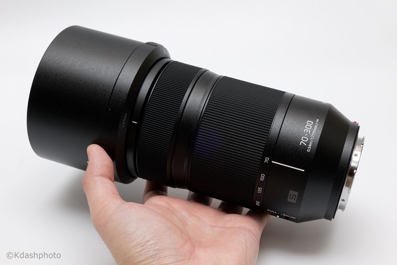 パナソニック LUMIX S 70-300mm F4.5-5.6 レビュー マクロが楽しい望遠