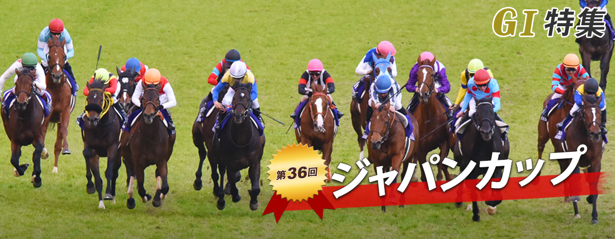 第36回 ジャパンカップ レース回顧｜GⅠ特集｜競馬情報ならJRA-VAN